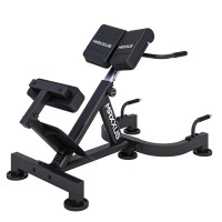 Гиперэкстензия / римский стул DFC MAXXUS